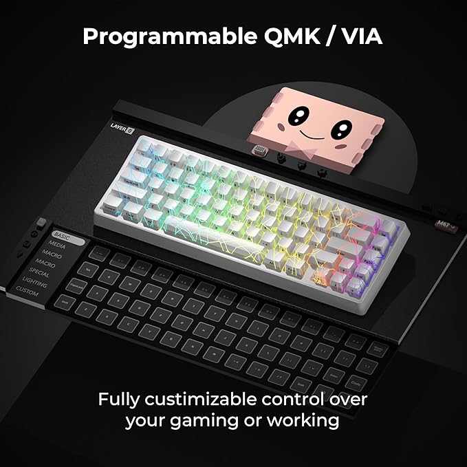 HITIME x XVX M67 Wireless 60% Percent Keyboard, QMK/VIA Gaming Keyboard, Tri-Mode Thocky Creamy Mechanical Key Board, Hot Swappable Gasket Mount RGB IMD Tech for Win/Mac, Spider Web Theme, White