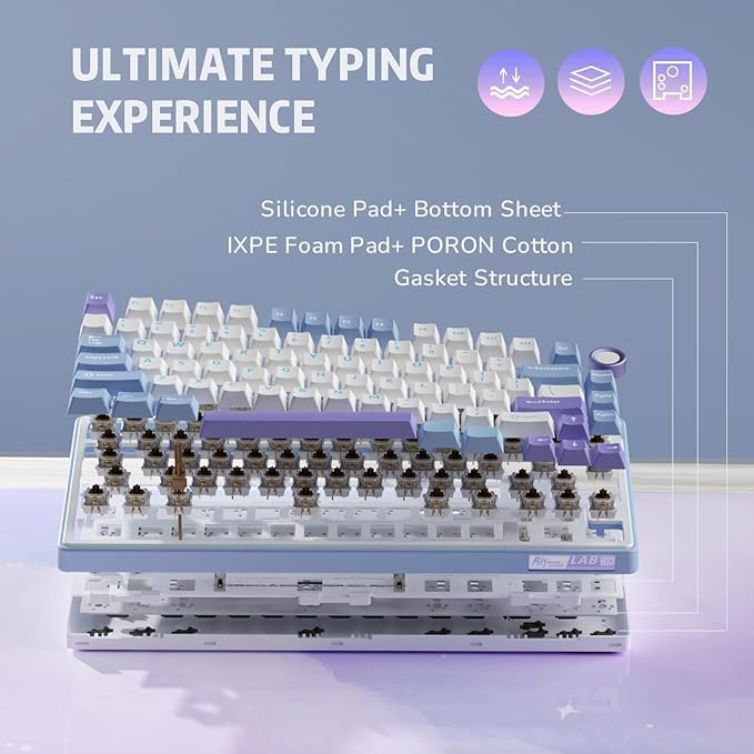 RK ROYAL KLUDGE R75 Mechanical Keyboard Wired with Volume Knob, 75% Custom Gaming Keyboard Gasket Mount RGB Backlit with Software, Cherry Profile, Hot Swappable Silver Switch, PBT Keycaps