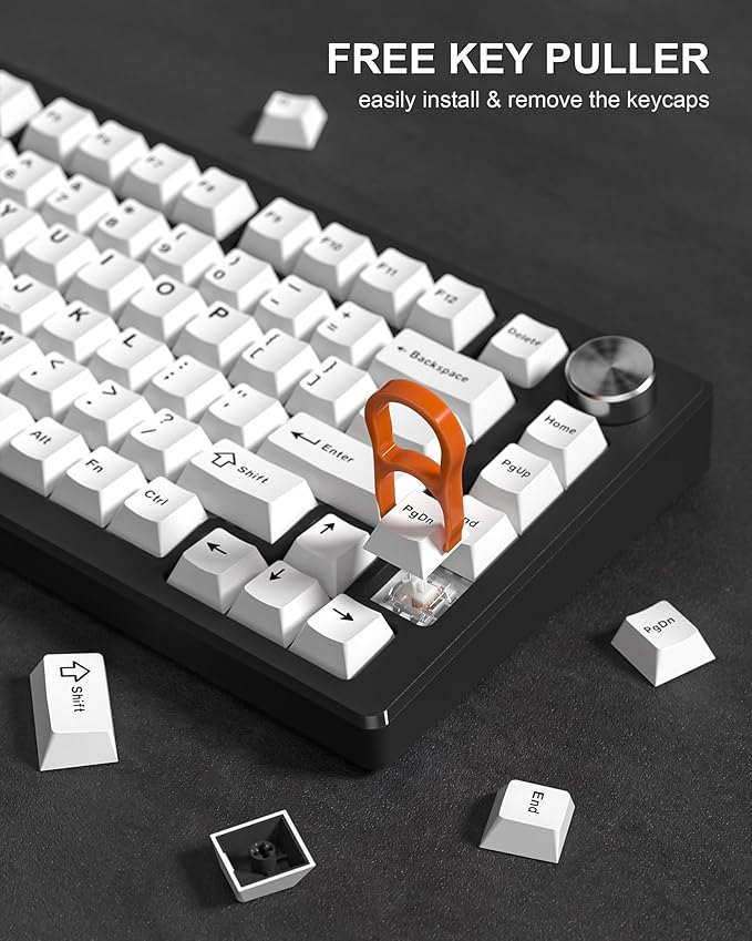 Womier Double Shot PBT Keycaps Set 138 Keys, Cherry Profile Custom Keycaps 60 65 75 100 Percent for 61/64/68/84/87/100/104/108 Retro Gaming Mechanical Keyboard, White