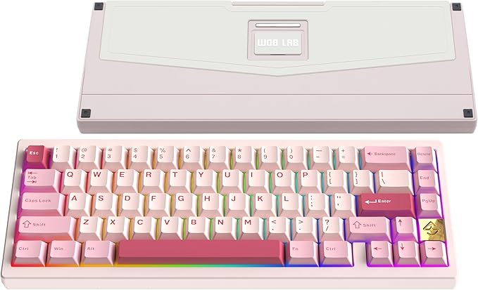 KEEBMONKEY WOBKEY Zen 65 65% Quick Release Wireless Mechanical Keyboard with RGB, CNC Aluminum Case, Hot-Swappable, VIA Support, BT/2.4G/USB-C Gaming Keyboard for Mac/Windows (Lite Pink)