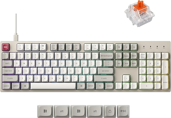 Keychron C2 Pro Wired Mechanical Keyboard with 8K Hz Polling Rate, Full Size Custom RGB Backlit Hot-Swappable, Non-Shine Through PBT Keycaps Compatible with Mac Windows Linux (Silent Red Switch)