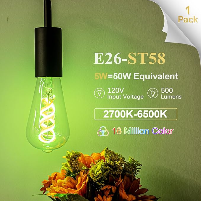 DiCUNO Smart Edison Bulb ST19, Color Changing WiFi Smart Light Bulb, 2700K-6500K Tunable via App, ST58 Edison Bulb, Compatible with Alexa & Google Home, 5W (50 Watt Equivalent), 500lm, 1-Pack