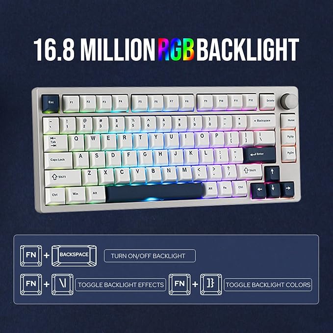 EPOMAKER P75 Wireless Aluminum Mechanical Keyboard, BT 5.0/2.4GHz/USB-C Hot Swappable Custom Keyboard, Gasket Structure, RGB Backlit, for PC/Tablet/PS/Xbox (Silver, Wisteria Linear Switch)
