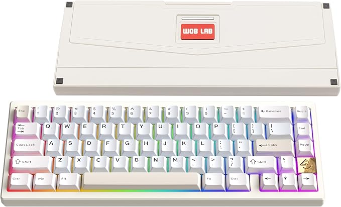 KEEBMONKEY WOBKEY Zen 65 65% Quick Release Wireless Mechanical Keyboard with RGB, CNC Aluminum Case, Hot-Swappable, VIA Support, BT/2.4G/USB-C Gaming Keyboard for Mac/Windows (Ultra White Gold)
