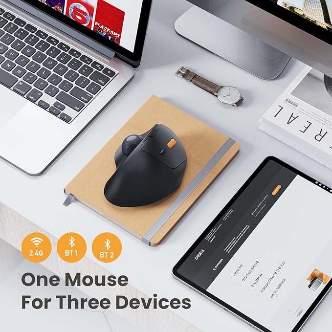 ProtoArc Wireless Trackball Mouse, EM04 Ergonomic Bluetooth Rollerball Rechargeable Computer Laptop Thumb Control Mouse, Compatible with PC, iPad, Mac, Windows-Gray Ball