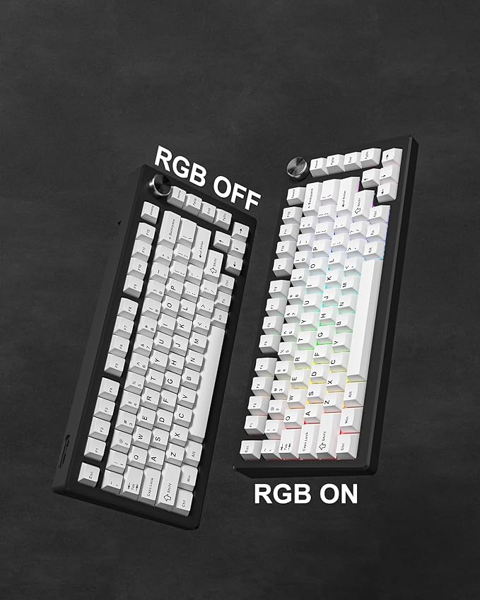 Womier Double Shot PBT Keycaps Set 138 Keys, Cherry Profile Custom Keycaps 60 65 75 100 Percent for 61/64/68/84/87/100/104/108 Retro Gaming Mechanical Keyboard, White