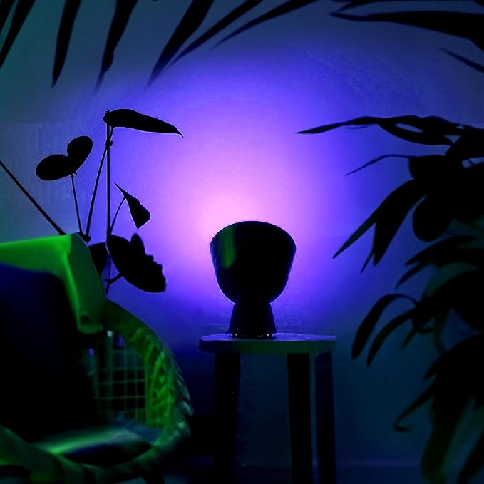 LIFX Smart Flood Light Bulb PAR38 E26 (1 Pack), Color Changing RGB + Warm White 1600 Lumens 150W Equivalent Tunable LED, 90+ CRI, Matter Compatible, Apple HomeKit, Alexa & Google Home Dimmable