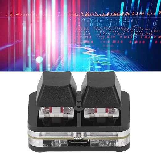 2 Keys Red Switch Keyboard Mini USB Mechanical Keypad for Rhythm Games Copy Paste Function,Easy to Program 2 Key Keypad PC Gaming Keyboards (Black)