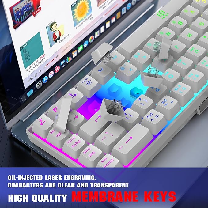 Snpurdiri 60% Percent Gaming Keyboard, Compact RGB Backlit Ergonomic Small Mini Keyboard for Windows, PC, Laptop, Gaming (68 Keys, White)
