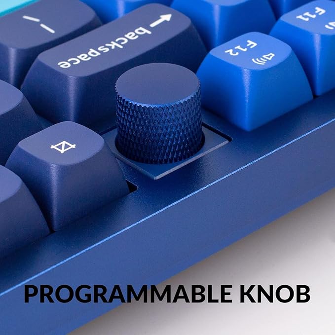 Keychron Q3 Wired Custom Mechanical Keyboard Knob Version, TKL Tenkeyless QMK/VIA Programmable Macro with Hot-swappable Gateron G Pro Blue Switch Double Gasket Compatible with Mac Windows Linux (Blue)