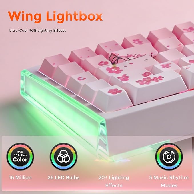 DAREU COOL68 60% Sakura Pink Wired Gaming Keyboard, Rapid Trigger Magnetic Switch Keyboard with 8000Hz Polling Rate, Adjustable Actuation, 0.1ms Latency, SOCD, Gasket Mount, Hot swappable, RGB Light
