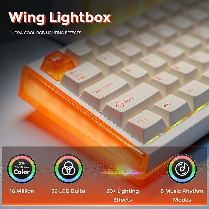 DAREU COOL68 60% Wired Gaming Keyboard, Rapid Trigger Magnetic Switch Keyboard with 8000Hz Polling Rate, Adjustable Actuation, 0.1ms Latency, SOCD, Gasket Mount, Hot swappable, RGB Light