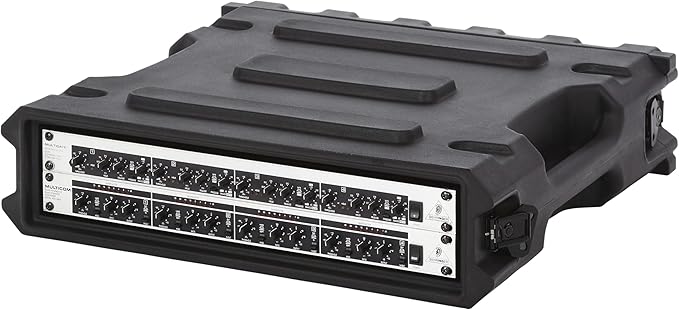 Gator Cases Pro Series 2U Rack Case with Standard 19" Depth, Roto Molded Made in USA (G-PRO-2U-19)
