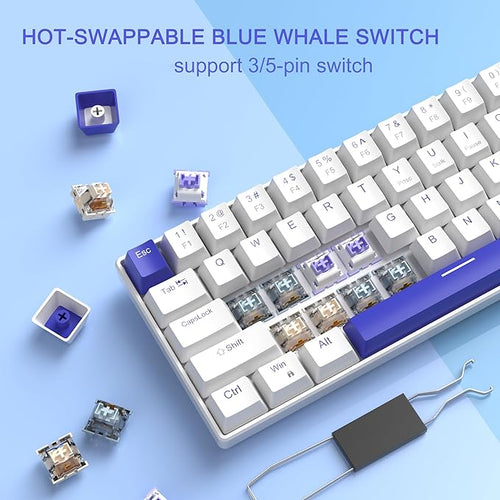 MageGee Portable 60% Mechanical Gaming Keyboard, RGB Backlit Compact 68 Keys Wired Mini Keyboard for Laptop PC Mac, Hot Swappable, Blue Whale Switch - White