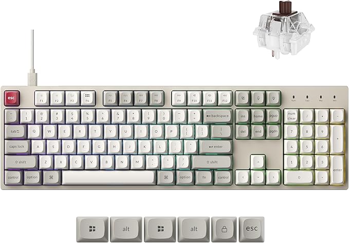 Keychron C2 Pro Wired Mechanical Keyboard with 8K Hz Polling Rate, Full Size Custom RGB Backlit Hot-Swappable, Non-Shine Through PBT Keycaps Compatible with Mac Windows Linux