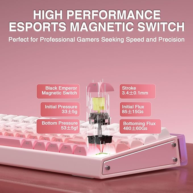 AULA Hero 68 HE 60% Wired Gaming Keyboard, Hall Effect Magnetic Switch Keyboard with Adjustable Actuation, Fast Trigger Mode, 8K Hz Polling Rate, 0.125ms Latency,RGB Backlit, Side Printed PBT Keycaps