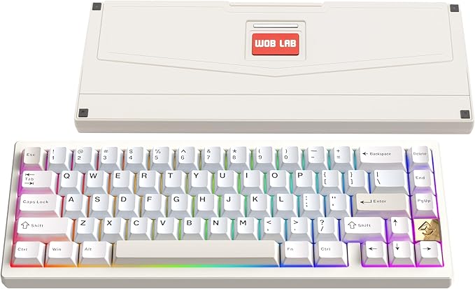 KEEBMONKEY WOBKEY Zen 65 65% Quick Release Wireless Mechanical Keyboard with RGB, CNC Aluminum Case, Hot-Swappable, VIA Support, BT/2.4G/USB-C Gaming Keyboard for Mac/Windows (Lite White)