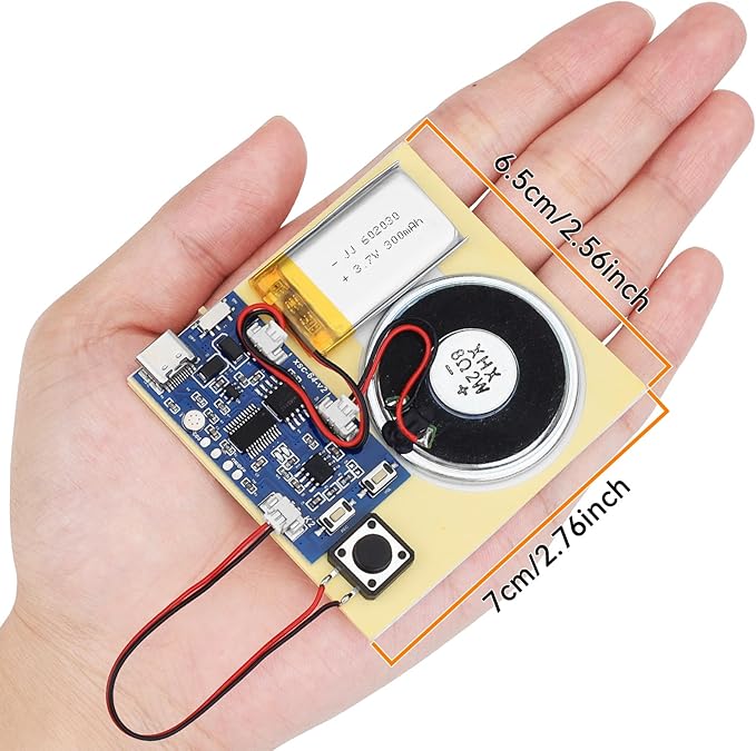 2PCS Sound Recorder Module DIY Music Voice Recording Module Chip with Speaker,Type-C Cable,Easy Recording Capability16 Minutes Music for Personalized Greetings, Holiday Crafts Cards with Manual