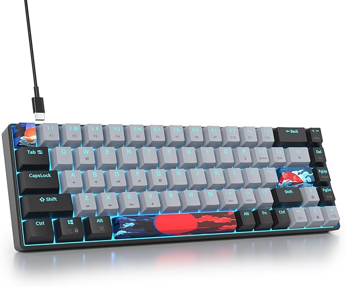 Protable 60% Percent Gaming Keyboard Mechanical, Mini Compact RGB Backlit 68 Keys Wired Office Keyboard with Red Switch for Mac/Win (Dolch/red Switch 68)