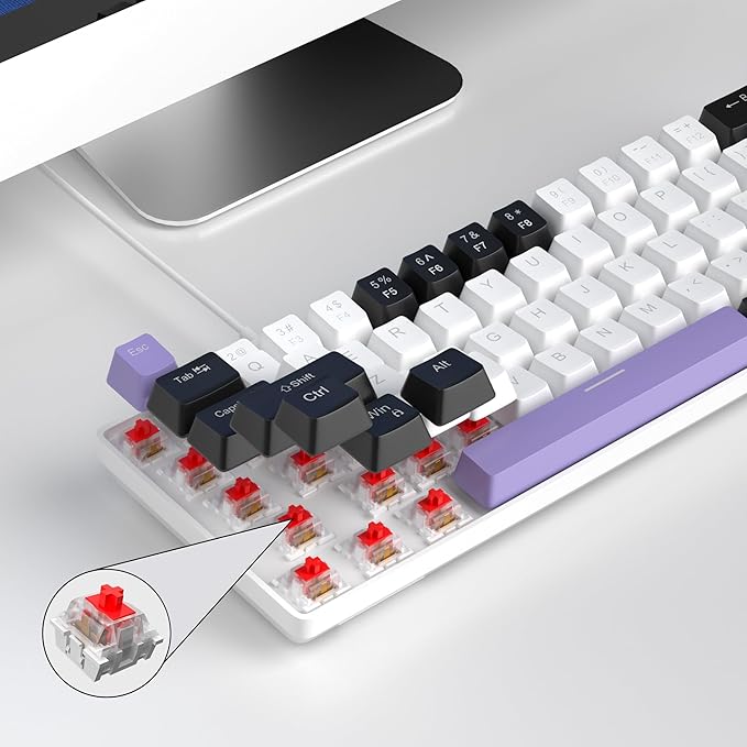 MageGee Portable 60% Mechanical Gaming Keyboard, MK-Box LED Backlit Compact 68 Keys Mini Wired Office Keyboard with Red Switch for Windows Laptop PC Mac - White/Purple