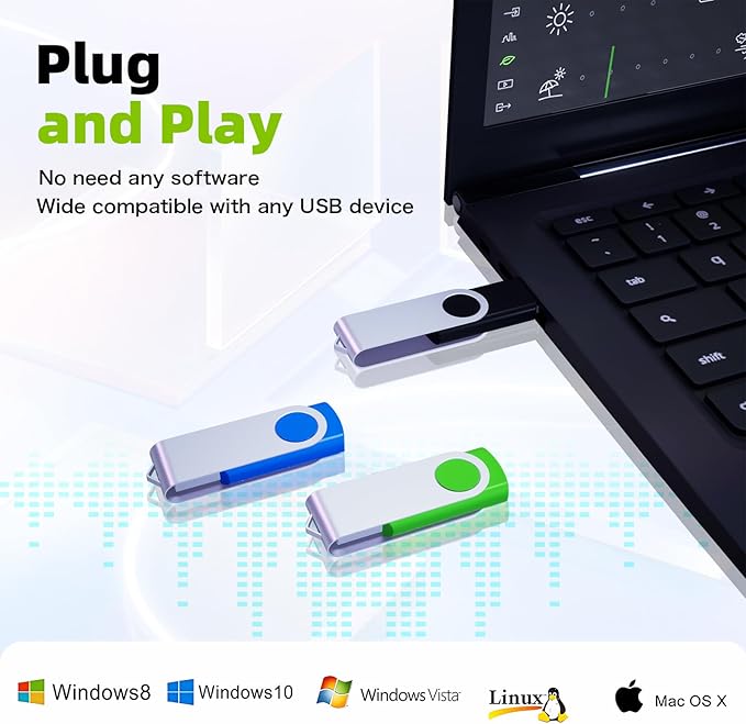 64GB Flash Drive 10 Pack, Wooolken USB 2.0 Thumb Drive Bulk Pen Drive Metal Swivel Memory Stick 64GB 10 Colors Multipack Value Zip USB Drives with Lanyard