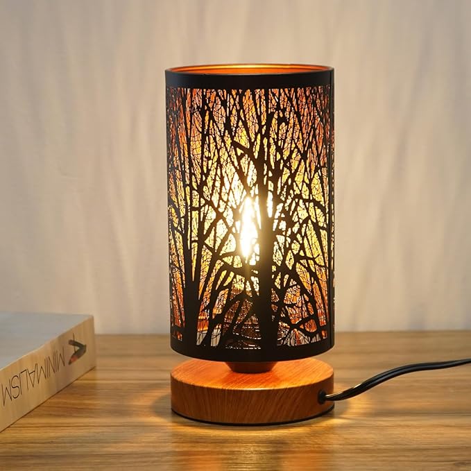 Small Industrial Table Lamps Dimmable, Bedside Lamps for Nightstand,End Table Side Desk lamp with Rustic Black Metal Cage Lampshade for Bedroom, Kids Room Living Room 2700K LED Bulb Included