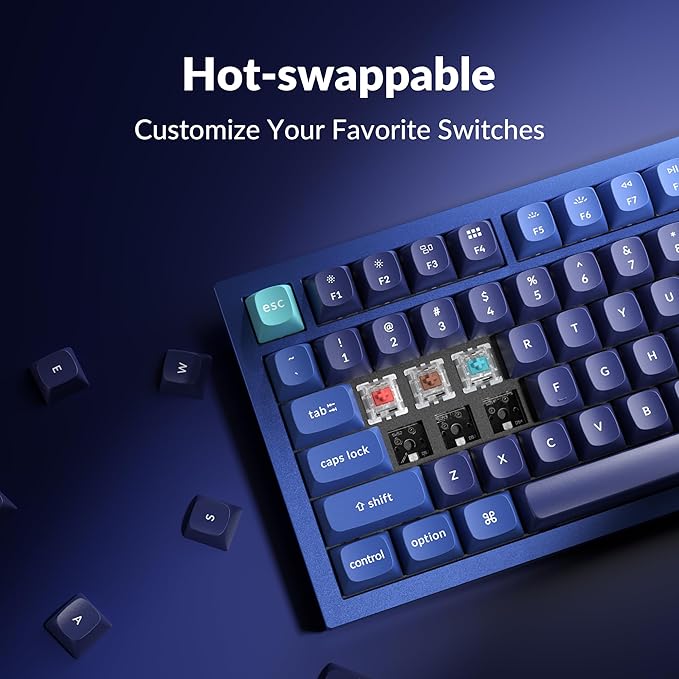 Keychron Q3 Wired Custom Mechanical Keyboard Knob Version, TKL Tenkeyless QMK/VIA Programmable Macro with Hot-swappable Gateron G Pro Blue Switch Double Gasket Compatible with Mac Windows Linux (Blue)