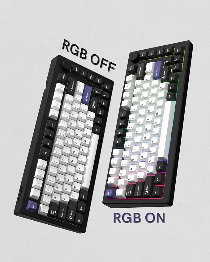 Womier Double Shot PBT Keycaps Set 138 Keys, Cherry Profile Custom Keycaps 60 65 75 100 Percent for 61/64/68/84/87/100/104/108 Retro Gaming Mechanical Keyboard (Black White2)