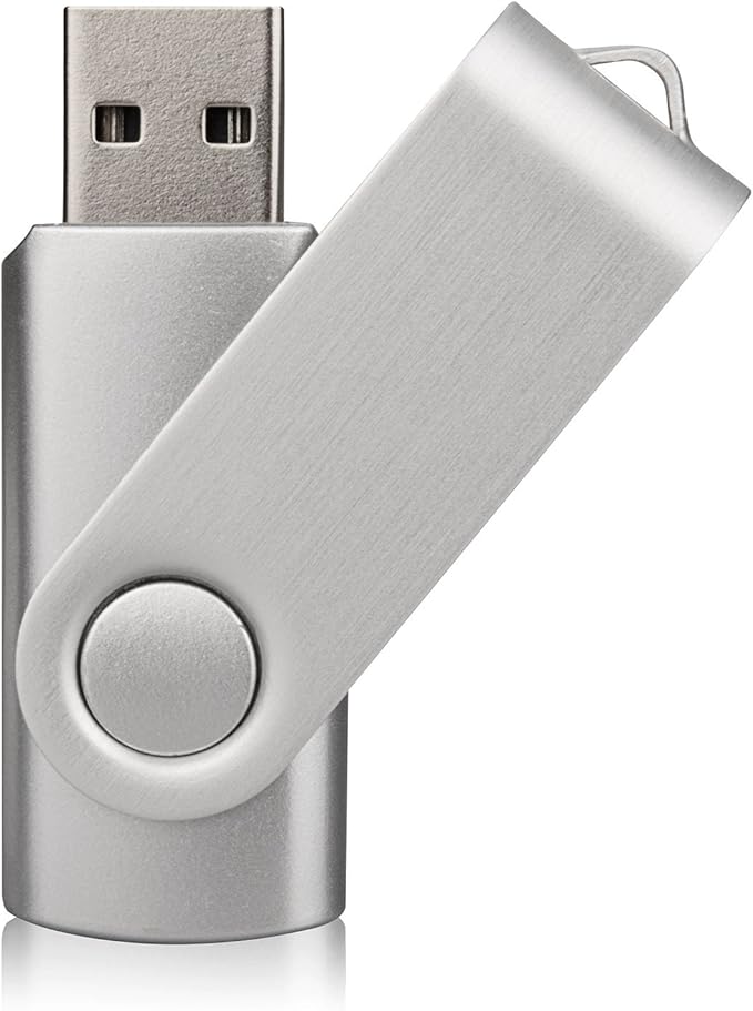 Aiibe 10 Pack 64 GB USB Flash Drives Thumb Drive Jump Drives 64GB 2.0 Flash Drive Bulk (10 Mixed Colors: Black Blue Red Green Orange White Yellow Pink Purple Silver)