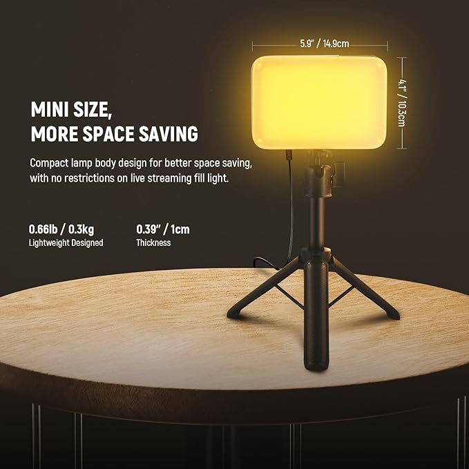 NEEWER BASICS LED Video Panel Light, Bi Color Dimmable Video Conference Lighting Kit with Desktop Tripod Stand/Filters for Webcam Desk Computer Laptop Zoom Call Makeup Recording Selfie Streaming, BP66