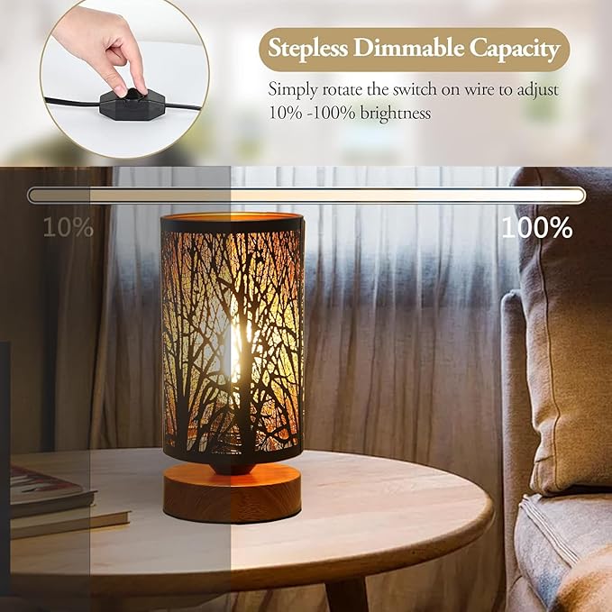 Small Industrial Table Lamps Dimmable, Bedside Lamps for Nightstand,End Table Side Desk lamp with Rustic Black Metal Cage Lampshade for Bedroom, Kids Room Living Room 2700K LED Bulb Included