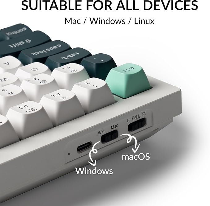 Keychron Q1 HE Wireless Custom Keyboard Rapid Trigger QMK Launcher 2.4 GHz Bluetooth 5.2 with Gateron Double-Rail Magnetic Switch, RGB Compatible with Mac Windows Linux (Hot-swappable)