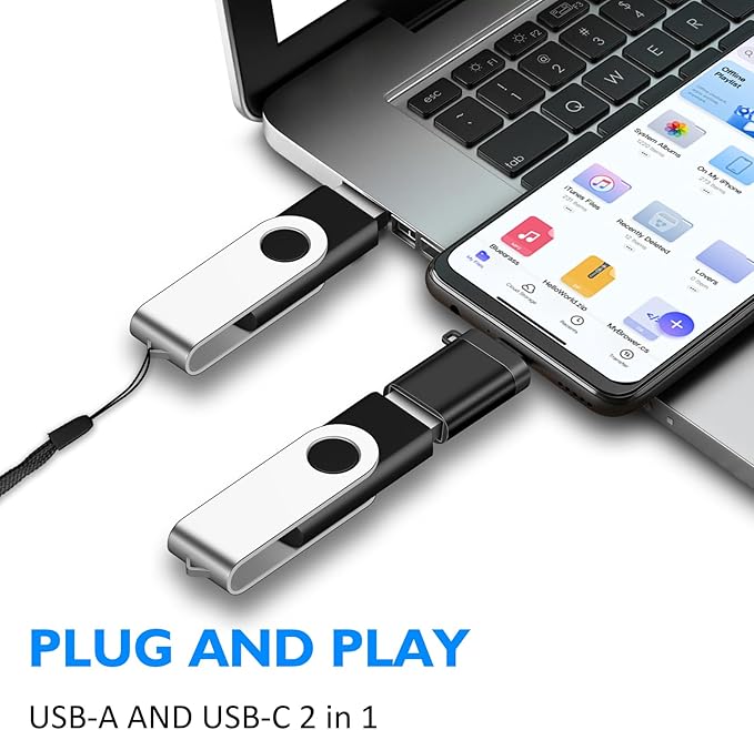 EASTBULL 5 Pack of 2GB USB 2.0 Flash Drives with Type-C Adapters and Keychains, High Speed Thumb Drives 360 Rotatable Swivel 2GB (5Pcs Black)