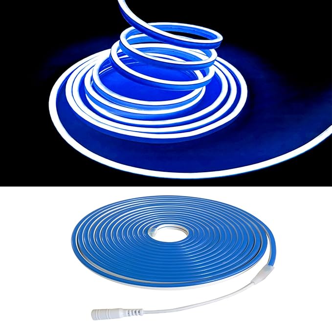Blue Neon LED Strip Lights, 16.4ft 12V Waterproof Flexible Light for Indoor/Outdoor Decoration (Includes Power Adapter)