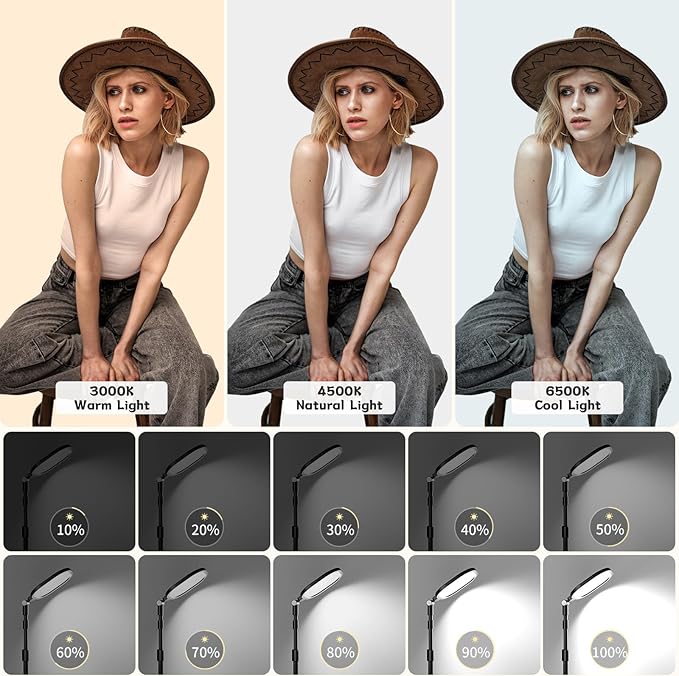 Desk Ring Light with Stand and Phone Holder, 3000K-6500K Adjustable Computer Ringlight, Video Conference Light for Zoom Meeting, Video Calls, Webcam, Desktop Light for Video Recording, CRI 97.8