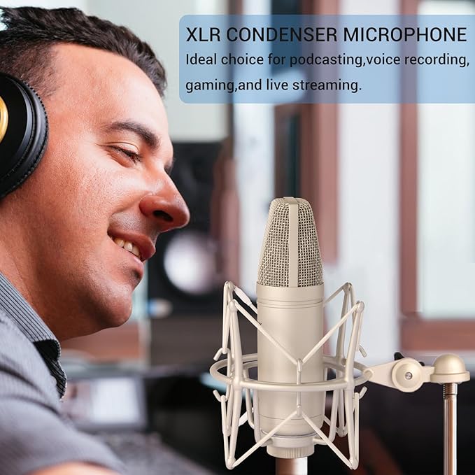 SUUNTOK Condenser Microphone XLR, Large Diaphgram Professional Recording Cardioid Microphone Kit with Shock Mount, for Studio, Live Streaming, Podcas (Silver)
