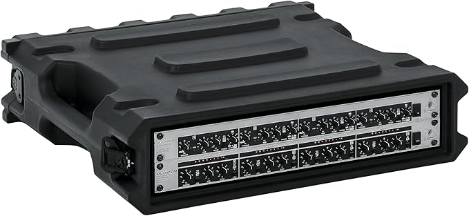 Gator Cases Pro Series 2U Rack Case with Standard 19" Depth, Roto Molded Made in USA (G-PRO-2U-19)