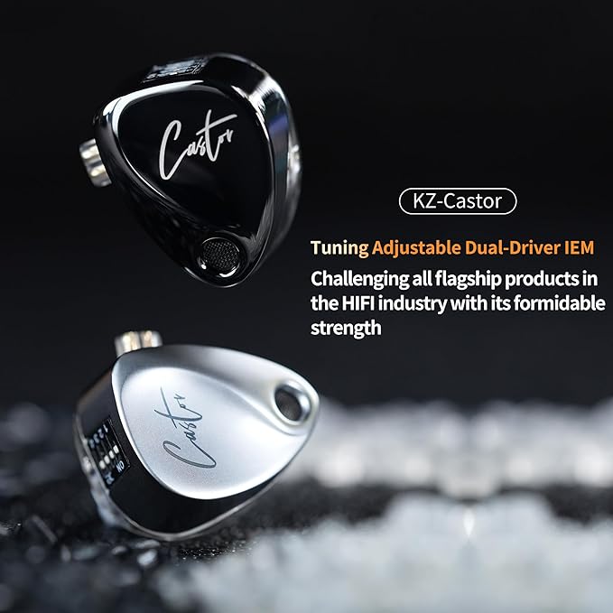 KZ Castor in Ear Monitors Headphones Bass Wired Earphones 2 Dynamic High-end Tunable Balanced Armature Headphones IEM Earphones HiFi Super Bass Earbuds for Singer Musicians Drummer(Black, with Mic)