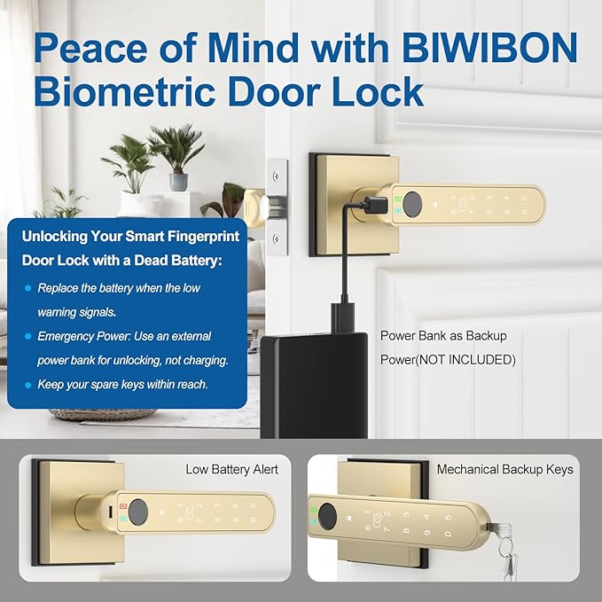 BIWIBON Fingerprint Door Lock, 5 in 1 Finger Print Door Knob with Smart APP/Fingerprint/IC Cards/Password/Backup Keys, Smart Door Knob with Keypad for Bedroom, Office, Apartment, Gold