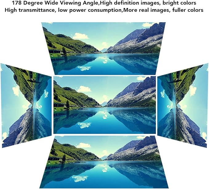 4K Portable Monitor, 11.6 Inch 1920x1080 FHD Laptop Monitor, Ultra Slim Type C Port and Micro HDMI Computer Gaming Display, for Computer, PC, Laptop, PS