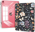 Case for iPad 11th Generation A16 Chip 2025, iPad 10th Generation Case 10.9 2025 with Pencil Holder, Slim Protective Trifold Stand Transparent Clear Back Cover, Watercolor Flower