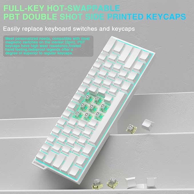 Aula MINI60 HE PRO Wireless Gaming Keyboard 60%,Hall Effect Rapid Trigger Magnetic Keyboard,8000Hz Polling,Tri-Mode(BT5.0/2.4GHz/USB-C),RGB Hot Swappable Compact Mechanical Keyboard for Gamer(White)