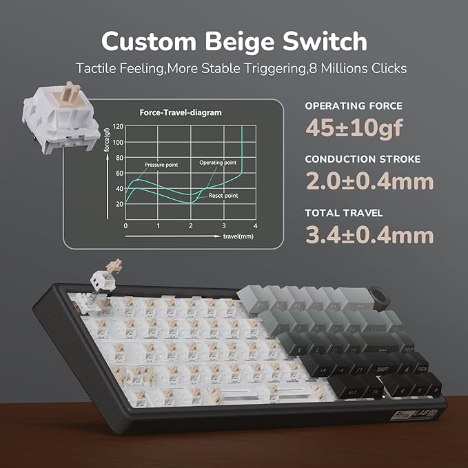 RK ROYAL KLUDGE R65 Wired Gaming Keyboard with Volume Knob, 60% Percent RGB Backlit Mechanical Keyboard, Side Printed PBT Keycaps, QMK/VIA, 66 Keys Hot Swappable Beige Switch, Gradient Black