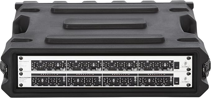 Gator Cases Pro Series 2U Rack Case with Standard 19" Depth, Roto Molded Made in USA (G-PRO-2U-19)