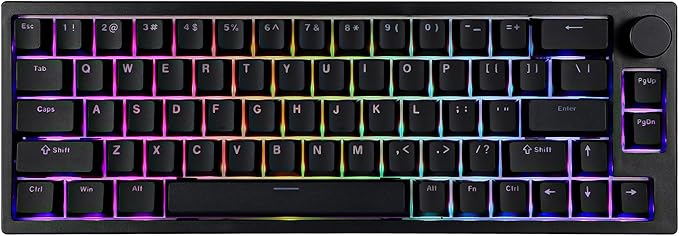 BOYI 66Pro Rapid Trigger Magnetic Switch Mechanical Keyboard,65% Hyper-Fast Actuation Point Adjustable Dedicated 8K Hz Polling Rate HotSwap RGB Wired Gaming Keyboard with Knob (Black)