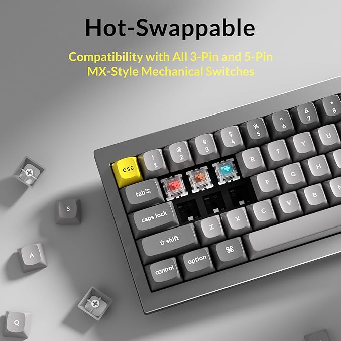 Keychron Q4 Wired Custom Mechanical Keyboard, 60% Layout QMK/VIA Programmable Macro with Hot-swappable Gateron G Pro Blue Switch Double Gasket Compatible with Mac Windows Linux (Gray)