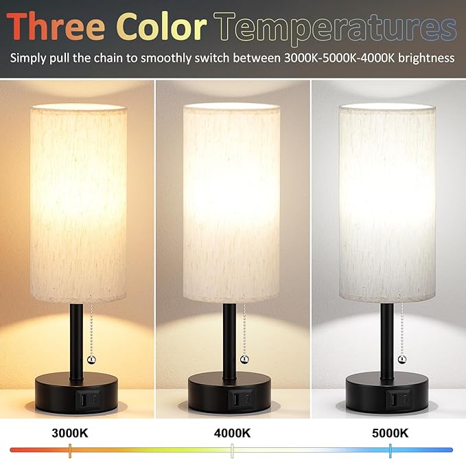 Fenmzee USB Bedside Table Lamps Set of 2-3 Color Temperatures Pull Chain Lamp with USB C and A Charging Ports, Round Night Stand Lamps for Bedroom
