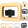 yAyusi Cell Phone Light for Video Recording, Handheld Phone Stabilizer with Light, 8000mAh LED Selfie Phones Ring Light with Phones Holder, Smartphone Video Rig for Camera, Action Camera, Vlog, TikTok