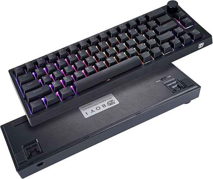 BOYI 66Pro Rapid Trigger Magnetic Switch Mechanical Keyboard,65% Hyper-Fast Actuation Point Adjustable Dedicated 8K Hz Polling Rate HotSwap RGB Wired Gaming Keyboard with Knob (Black)
