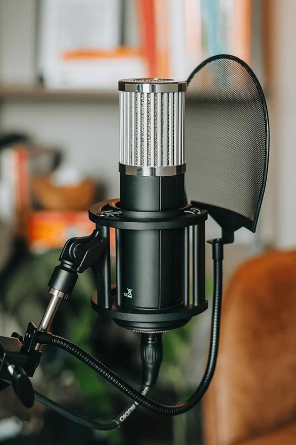 512 Audio by Warm Audio Skylight Large Diaphragm Studio Condenser XLR Microphone + Shock Mount + Bag for Recording and Podcasting